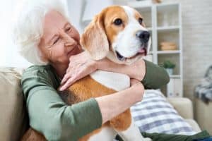 pets for seniors